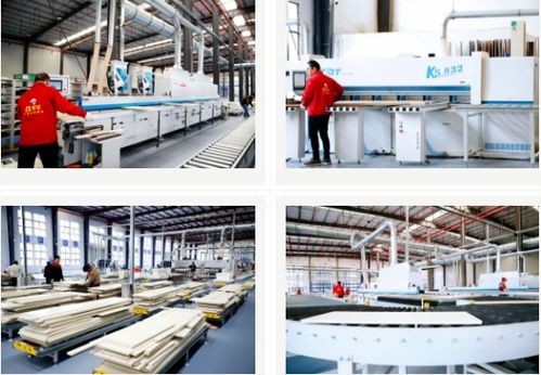 雪寶集團 大國工匠，家居典范